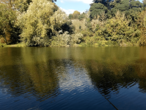 Oxford & District Angling Association