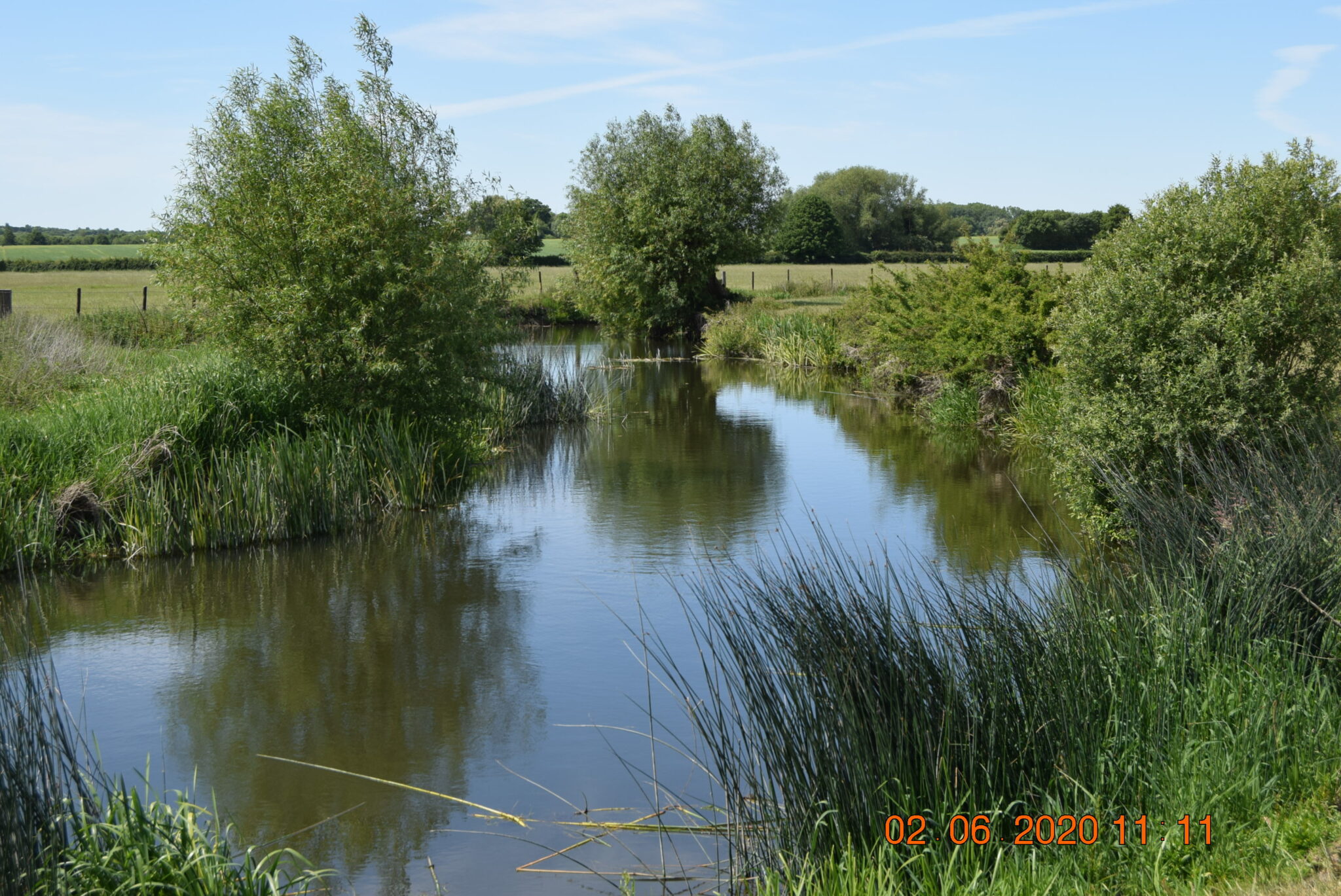 A view of Tring Reservoirs